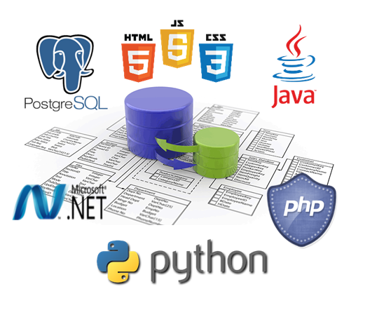 Desarrollo de Software